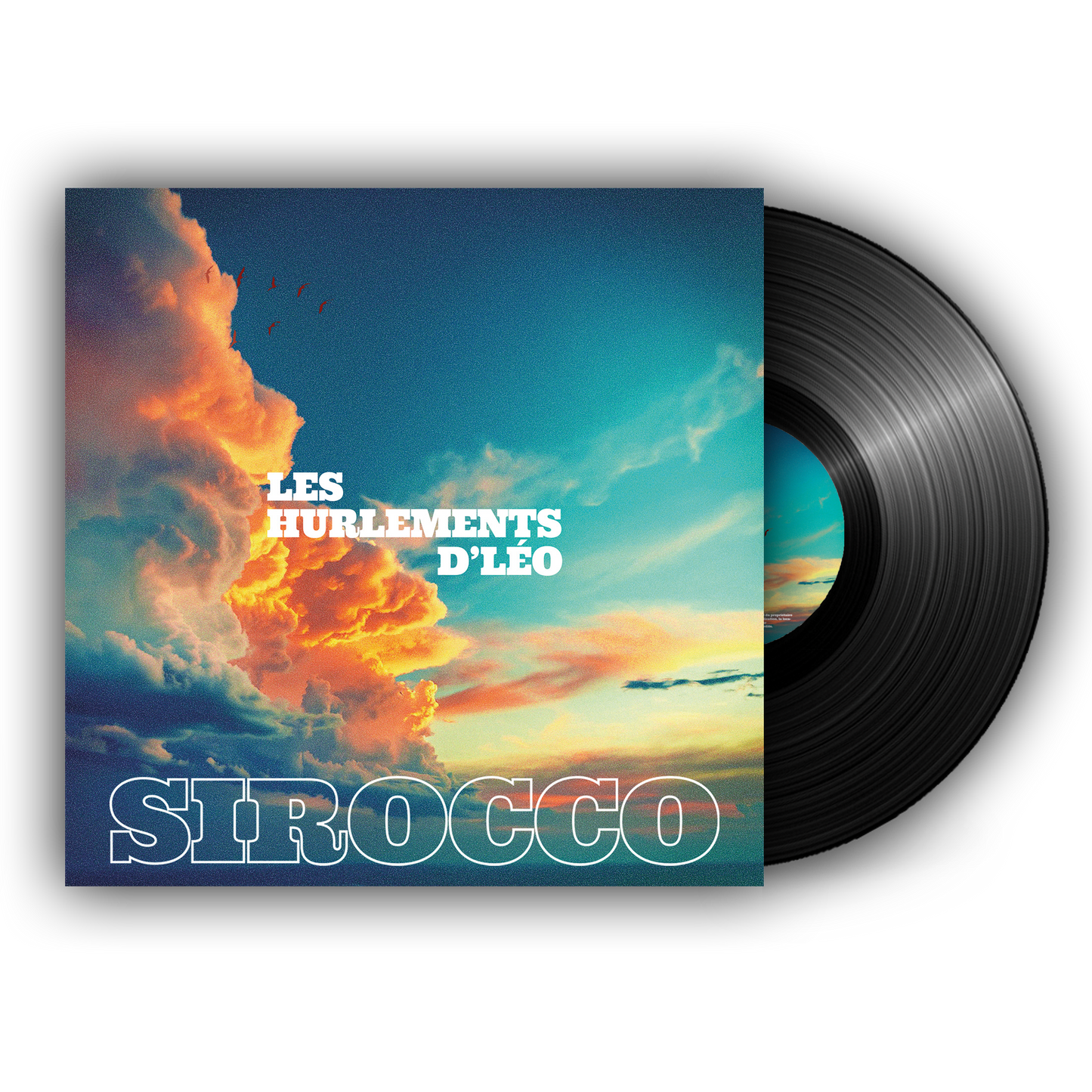 Vinyle